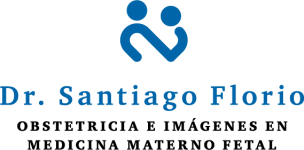 LogoCompletoSF